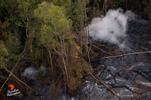 July 9: Lava near the distal tip has entered several ground cracks, creating rising puffs of steam.  Photo: Extreme Exposure Media/Paradise Helicopters.