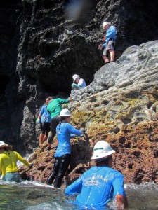 Researchers conduct surveys along the rocky shorelines of Nihoa in Papahānaumokuākea Marine National Monument. Credit: Hoku Johnson/NOAA.