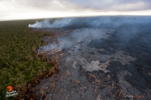 July 9: Activity along the northern tree line, 2-3 miles north of Pu‘u ‘O‘o, continues to be quite robust.  Photo: Extreme Exposure Media/Paradise Helicopters.