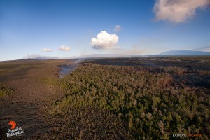 July 16:  The eastern most distal tip continues to creep over an old ‘a‘a flow and consume a bordering ‘ohia forest. Pu‘u ‘O‘o crater (left), Mauna Loa, and Mauna Kea line the horizon in this photo.   Photo: Extreme Exposure Media/Paradise Helicopters.