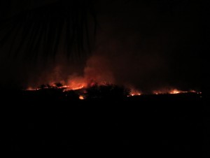 Kawaihae brush fire. Photo credit: Beth Sundahl.
