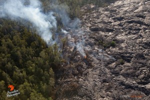 Aug. 6: Lava consumes chia trees at the distal tip of the flow, approximately 5 miles from the vent.   Photo: Extreme Exposure Media/Paradise Helicopters.