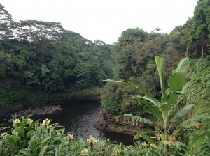 A view from the top level portion of Rainbow Falls, a quick upstairs walk. Photo: Jamilia Epping.