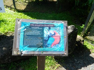 Pana'ewa Rainforest Zoo and Gardens. Photo credit: Jamilia Epping.