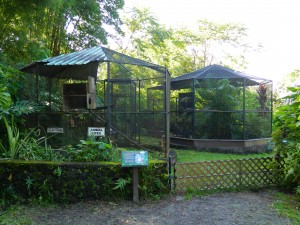 Pana'ewa Rainforest Zoo and Gardens. Photo credit: Jamilia Epping. 