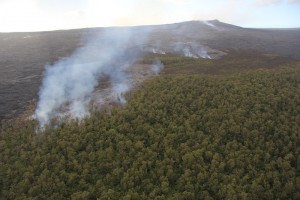 A new vent opened on the northeast flank of Puʻu ʻŌʻō during the first week of December. This is the incandescent, fuming trio of holes just below and to the left of center in the accompanying image. HVO photo taken on Dec. 17.