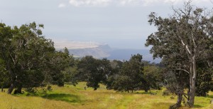 Aussicht auf South Point von der ehemaligen Ranch und neuen Kahuku Unit, Hawaii Volcanoes National Park, Big Island, USA