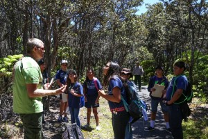 Keiki on a species inventory during the 2015 BioBlitz. NPS photo.