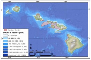 Hawaiian Islands Humpback Whale National Marine Sanctuary file image.