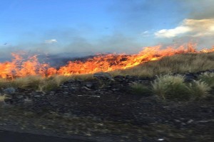February 2016 fire in West Hawai'i. File photo by Jewels Dupre.