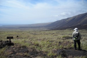 The Hilina Pali on Kīlauea Volcano’s south flank is visible evidence of the steep Hilina Fault System. Beneath this system lies the flat-lying décollement fault that has no visible surface expression, but has produced several large earthquakes in the past 200 years. Photo courtesy of Ingrid Johanson.