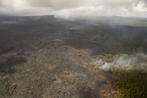 Another view, looking west, showing the activity along the forest boundary and northern flow margin. Scattered breakouts were burning forest in this area. In the upper left portion of the image, Puʻu ʻŌʻō can be seen. USGS/HVO photo.
