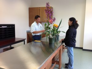 Plant Quarantine inspectors Donn Yanagisawa and Christine Yafuso at the new inspection counter. Photo courtesy the Department of Agriculture.