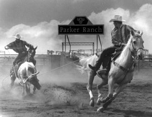 Parker Ranch photo.