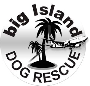 big island dog rescue logo