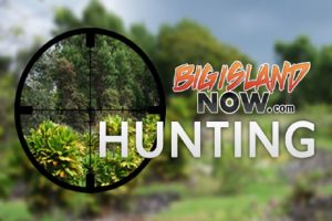 hunting graphic BIN
