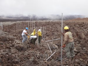 Park staff install the cat-proof fence in rough and rugged high-elevation lava fields on the slopes of Mauna Loa. The five-mile-long fence protects more than 600 acres of Hawaiian petrel habitat, and could be the longest of its kind in the United States. NPS Photo.