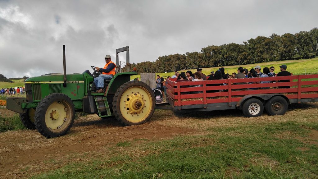 tractor-hay-rVisitors of Kohala Mountain Educational Farm, enjoying a hayride around the farm on Saturday, Oct. 22, 2016, driven by Farmer Benjie Kent. Photo: Crystal Richard.ide-kmf