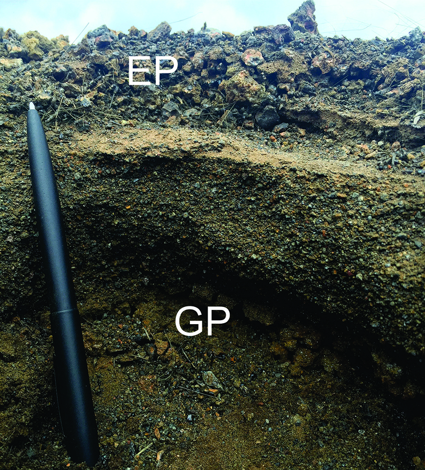 A past assumption about pumice deposits on Kīlauea Volcano has recently been proven wrong. In this photo, the eastern pumice (EP) can be seen above the golden pumice (GP), with stream deposits between the two. Photo courtesy of Sebastien Biasse, University of Hawaiʻi at Mānoa.