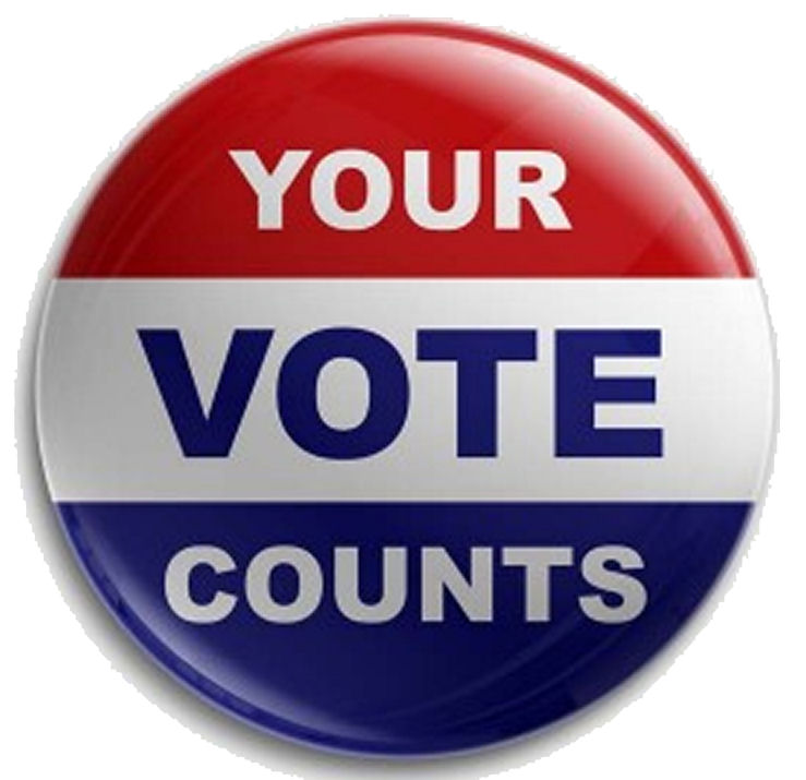Image result for voting day