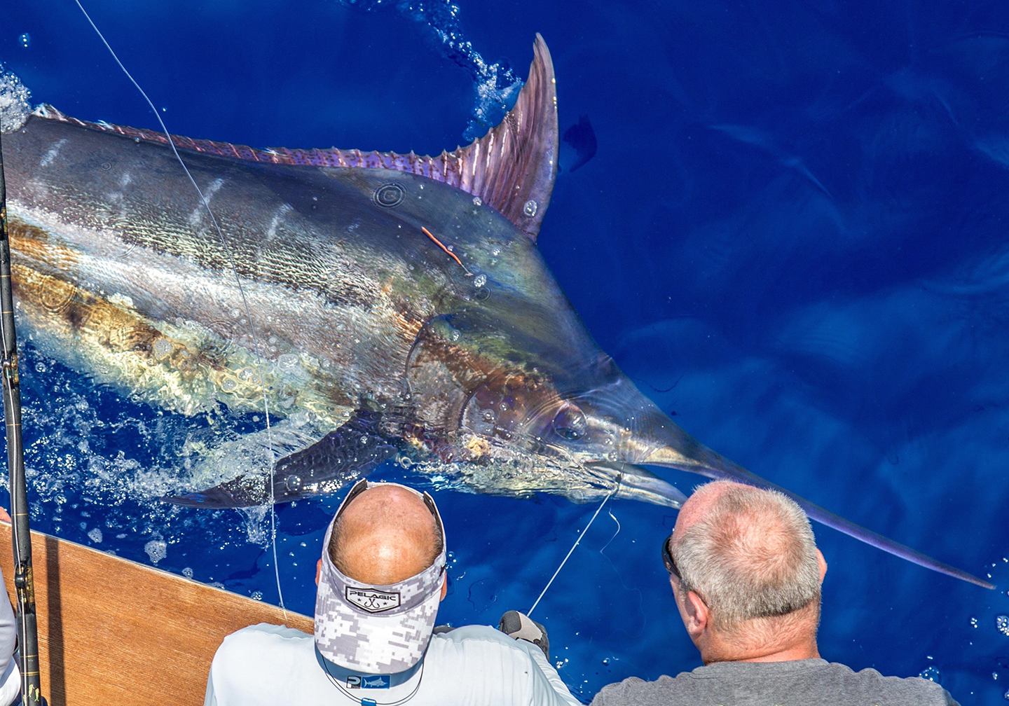 Kailua-Kona Named 'Ultimate Bucket List' for Fishing Trips : Big