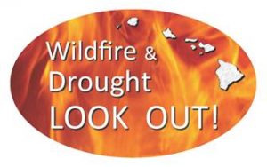 wildfire and drought
